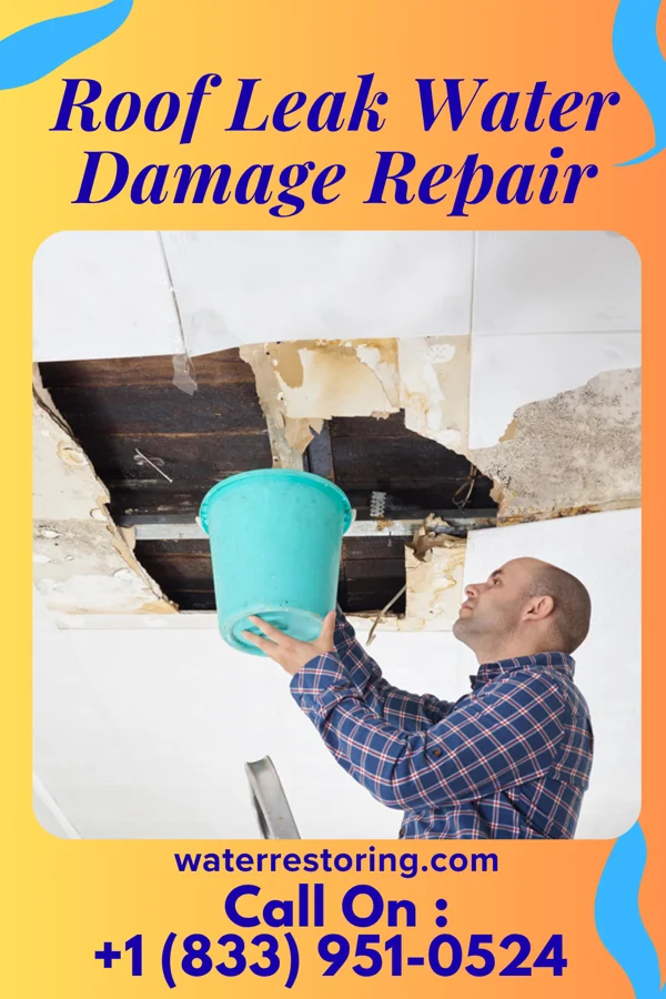 Roof Leak Water Damage Repair in New London, MO