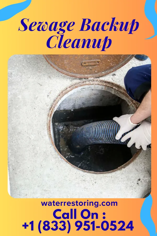 Sewage Backup Cleanup in New London, MO