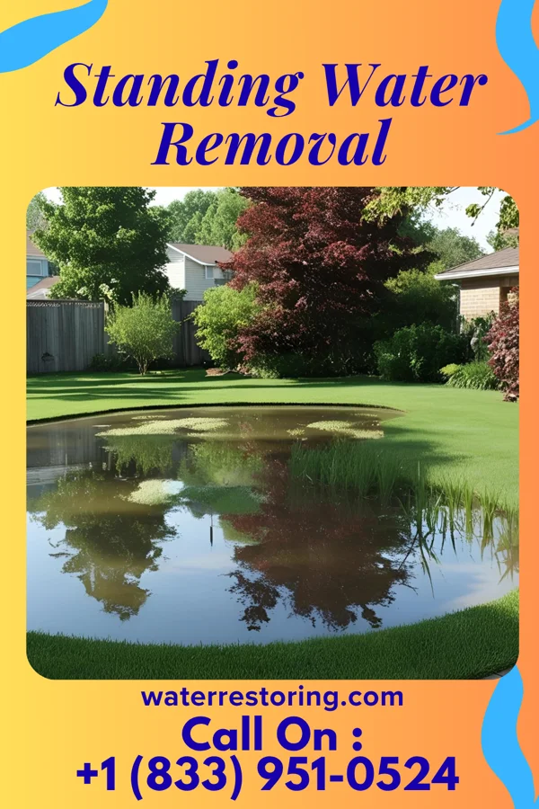 Standing Water Removal in New London, MO